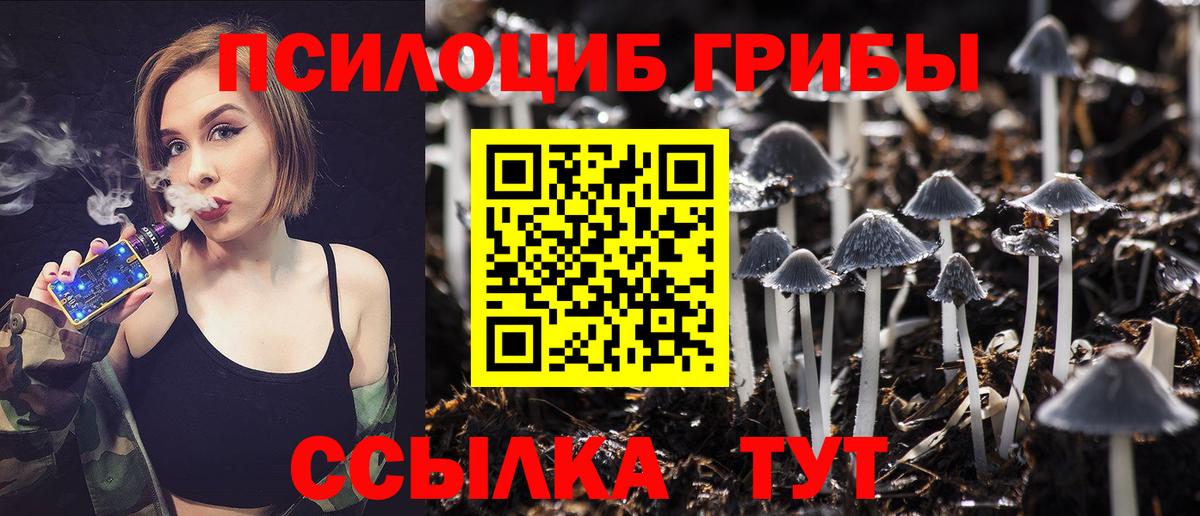 Галлюциногенные грибы Cubensis  Вход с VPN  Сердобск 