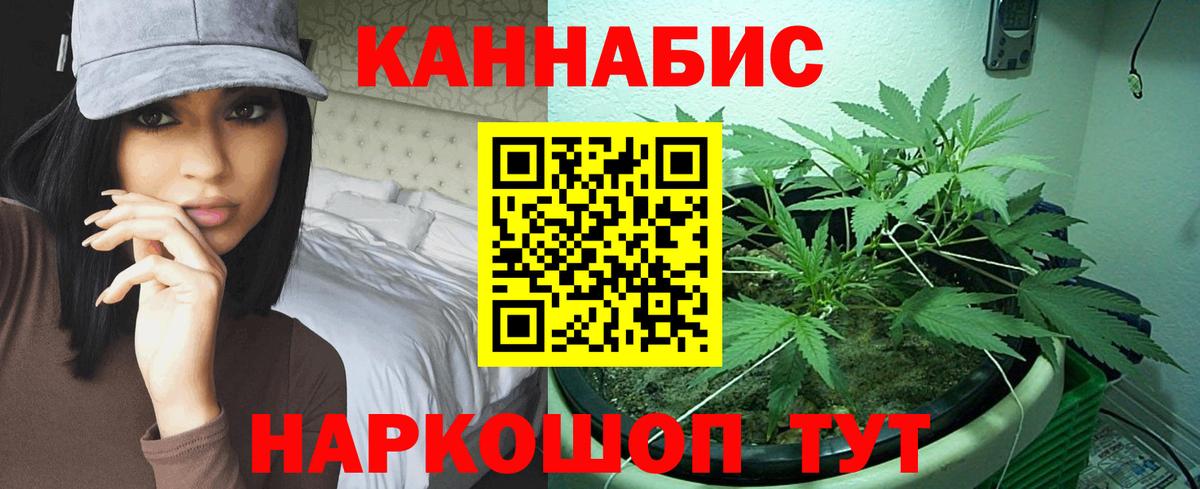 Канабис SATIVA & INDICA  Вход с VPN  Канабис план  Сердобск  Шишки марихуана конопля 